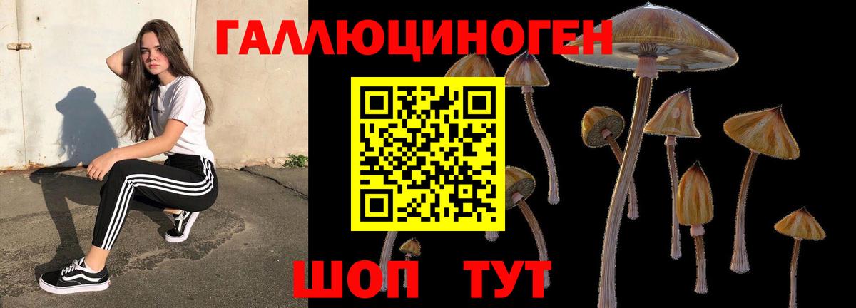 Галлюциногенные грибы GOLDEN TEACHER Лесной